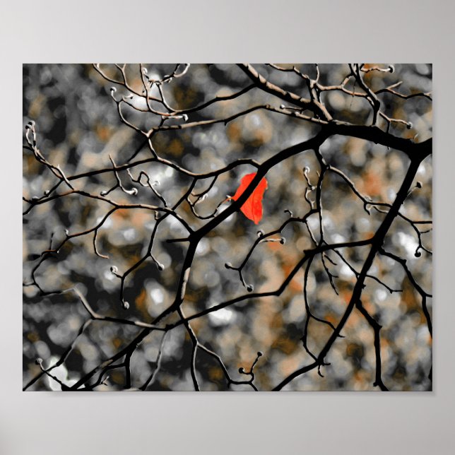 Late Autumn Poster (Front)