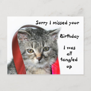 Late Birthday kitten Postcard