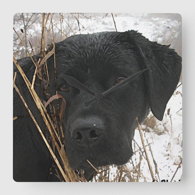 Late Season Hunt - Black Lab - Labrador Square Wall Clock (Front)