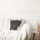 Late Season Hunt - Black Lab - Labrador