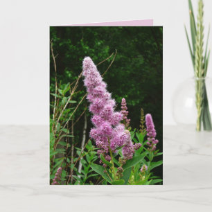 Late Summer Memory Card