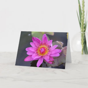 Late Summer Water Lily Card