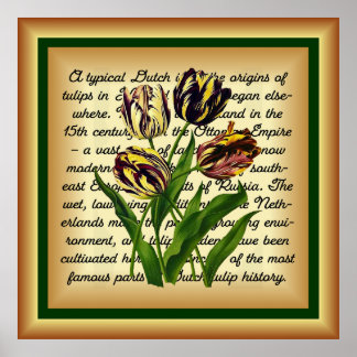 Late Tulips Bizarres ~ Botanical Art Print ~  