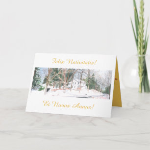 Latin Christmas Card - Felix Nativitatis!