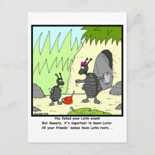Latin Exam Postcard