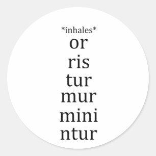 Latin Language School Student Funny Classic Round Sticker
