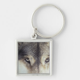 Latin name: Canis Lupus Keychain