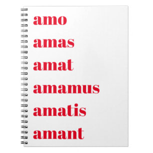 Latin Notebook, Amo Amas Amat, Schooldays Theme Notebook