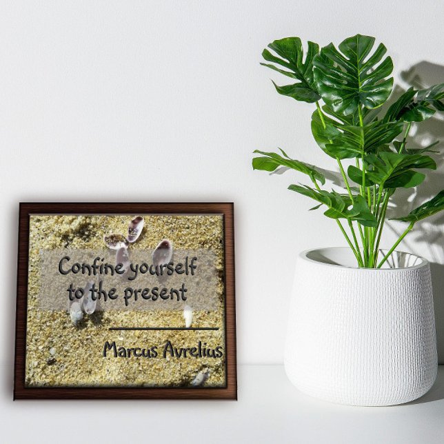 Latin quote about present saying poster (Creator Uploaded)