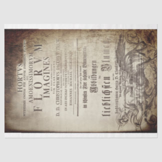 Latin scrolling tissue paper