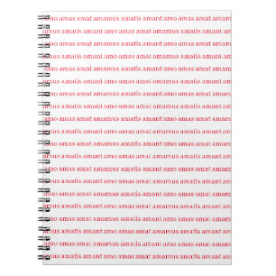 Latin Teacher Amo Amas Amat Red Notebook