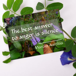 Latin wisdom quote about best answer poster