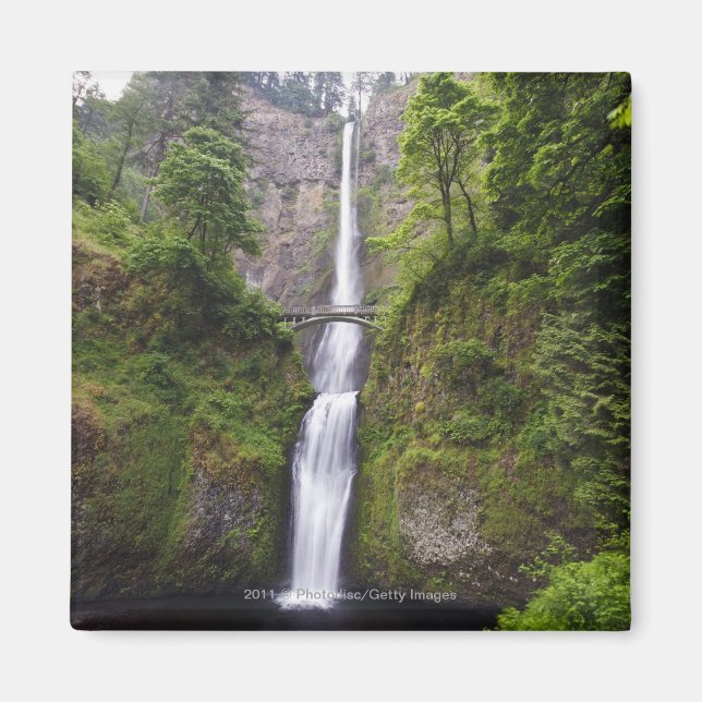 Latourell Falls & Bridge Columbia River Gorge Magnet (Front)