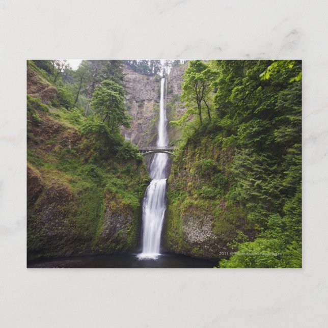 Latourell Falls & Bridge Columbia River Gorge Postcard (Front)