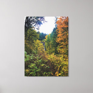 Latourell Falls, Columbia River Gorge, Oregon Canvas Print