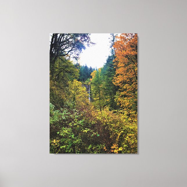 Latourell Falls, Columbia River Gorge, Oregon Canvas Print (Front)
