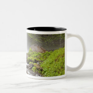 Latourell Falls, Columbia River Gorge, Oregon, Two-Tone Coffee Mug