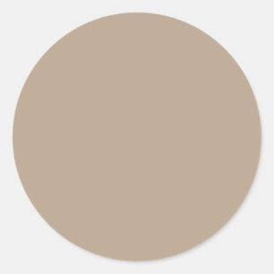 Latte Beige Solid Colour Classic Round Sticker