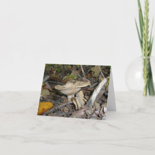 Latte-Coloured Gilled Mushroom Note Card