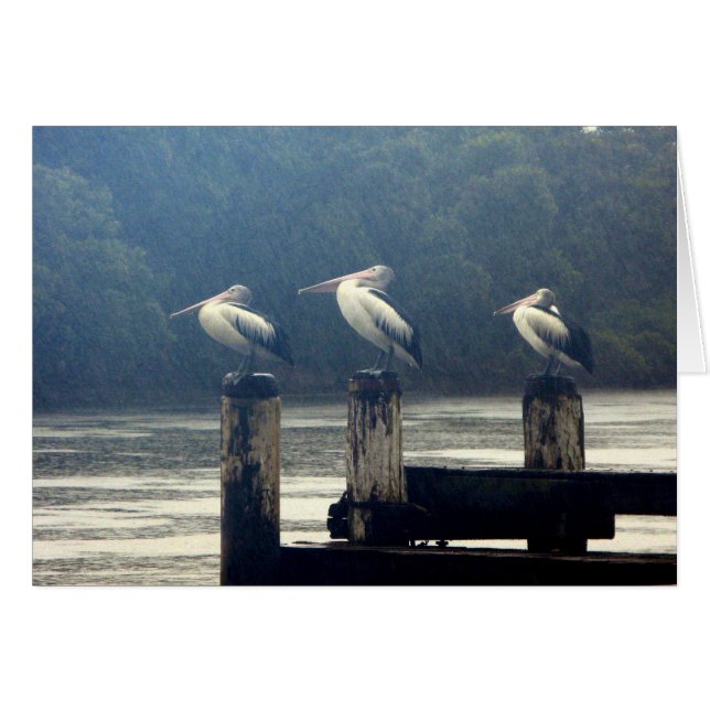 l'attente (Devant horizontal)