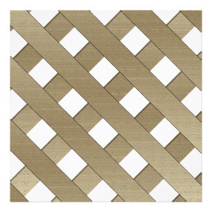 Lattice Fence by Shirley Taylor Photo Print