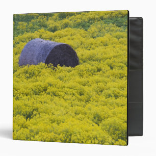 Latvia, Northeastern Latvia, Vidzeme Region, 2 Binder