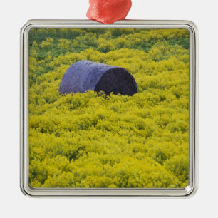 Latvia, Northeastern Latvia, Vidzeme Region, 2 Metal Ornament