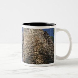 Latvia, Northeastern Latvia, Vidzeme Region, Two-Tone Coffee Mug