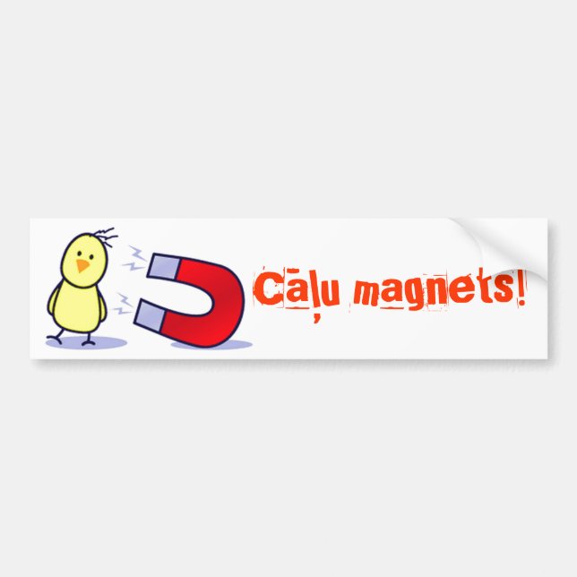 Latvian chick magnet bumper sticker (Front)