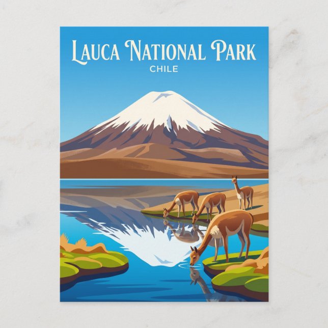 Lauca National Park Chile Postcard (Front)