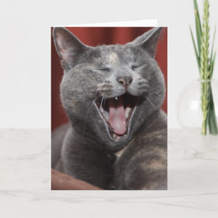 Laugh it up this Father's Day Card