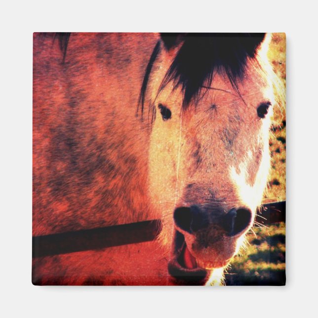 Laugh Magnet (Front)