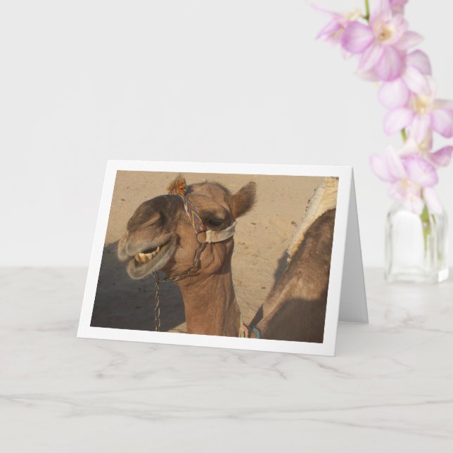 Laughing Camel Card (Orchid)