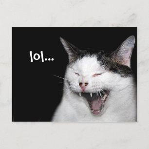 Laughing cat postcard