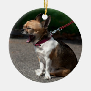 Laughing Chihuahua Ceramic Ornament