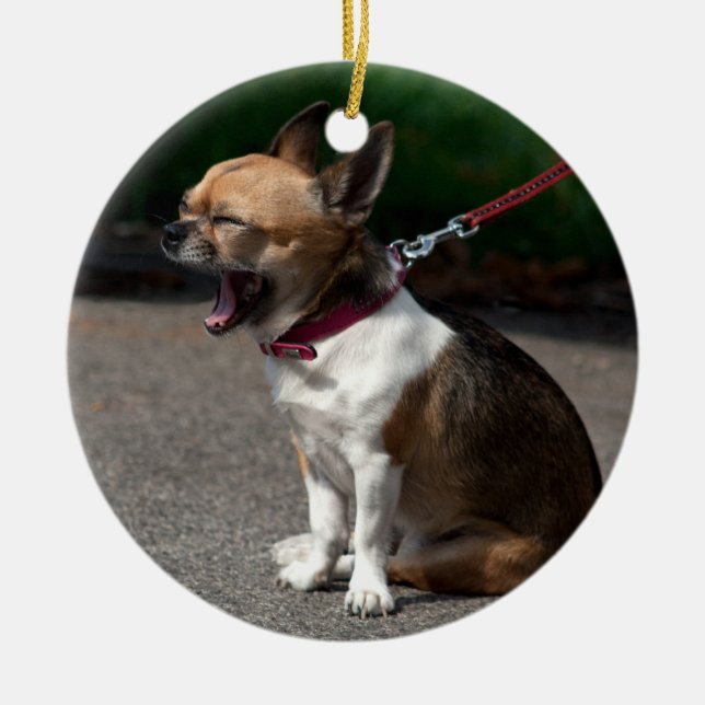 Laughing Chihuahua Ceramic Ornament (Front)