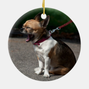 Laughing Chihuahua Ceramic Ornament