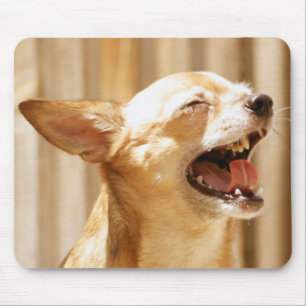 Laughing Chihuahua Mouse Pad
