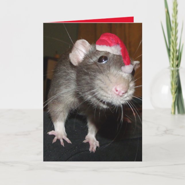 Laughing Christmas Rat Greeting Card (Front)
