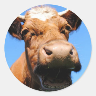 laughing cow classic round sticker