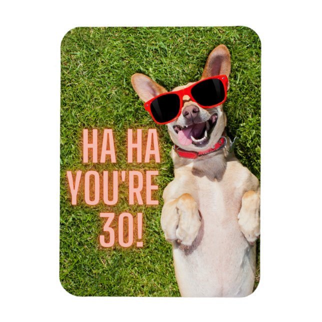 Laughing Dog 30th Birthday  Magnet (Vertical)