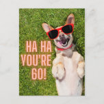 Laughing Dog 60th Birthday  Postcard<br><div class="desc">Fun milestone birthday design features photo of laughing Corgi dog with sunglasses and "Ha Ha You're 60"</div>