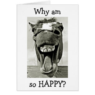 LAUGHING DONKEY SAYS YOU ARE "40" & I AM NOT!