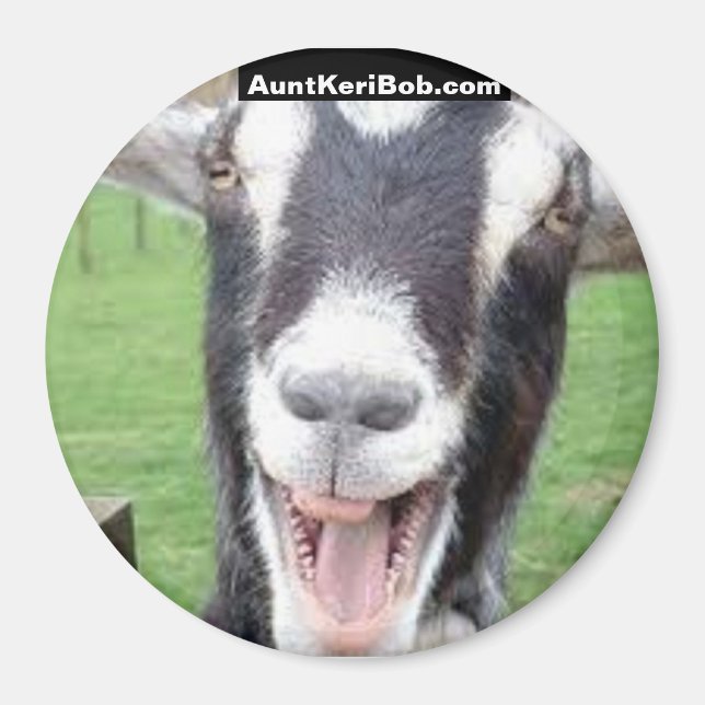 Laughing goat magnet (Front)