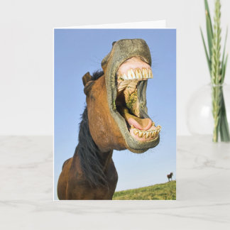 Laughing Horse Birthday Card