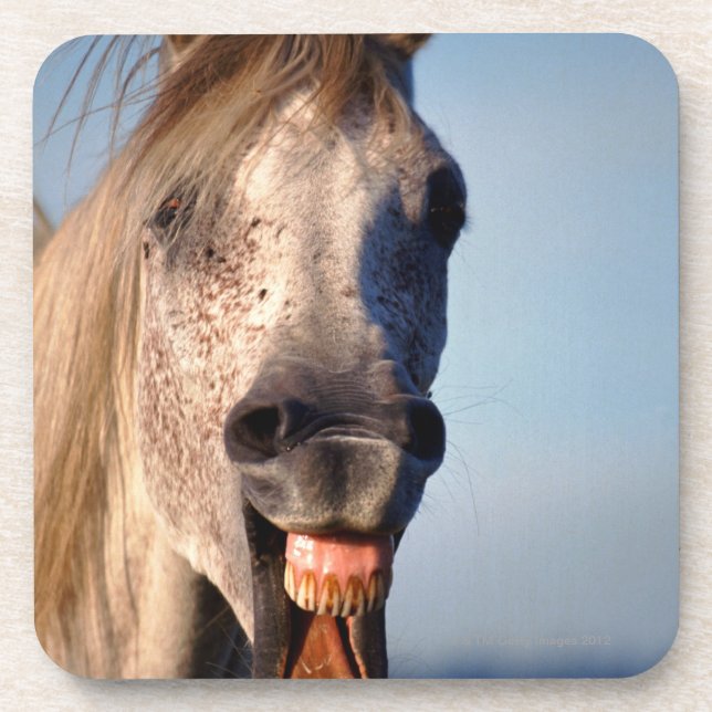 laughing horse coaster (Front)