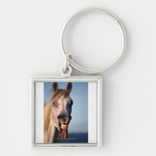 laughing horse keychain