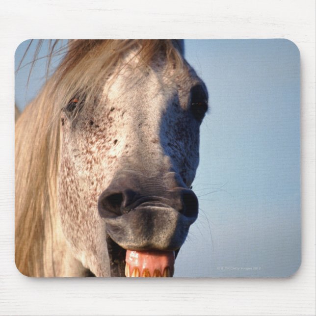 laughing horse mouse pad (Front)