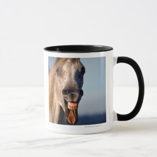 laughing horse mug