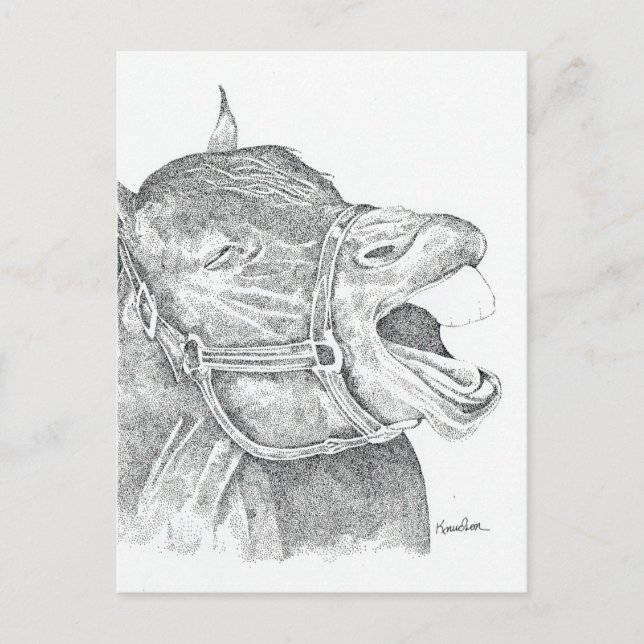 Laughing Horse Postcard (Front)